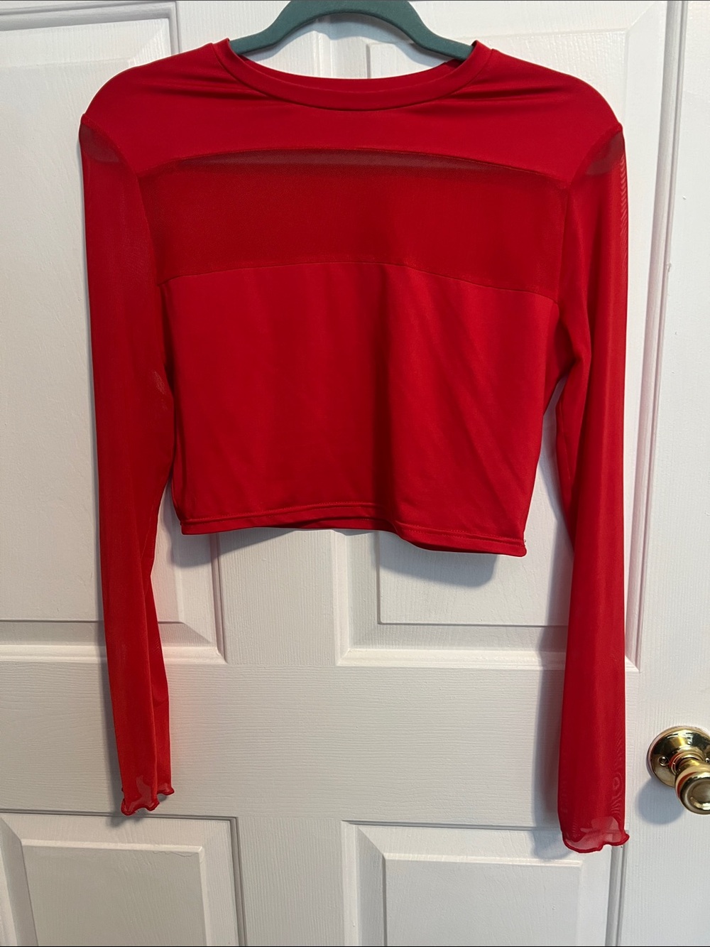 SHEIN Red Long Sleeve Mesh Crop Top